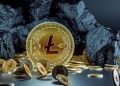 Litecoin Price Nosedives into Uncertain Territory Amid Halving Aftermath