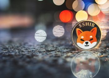 Shiba Inu Price Records Staggering 18% Spike in One Week: Possible Dead Cat Bounce?