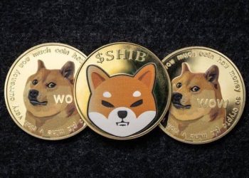 Here’s the price of SHIB if it hits DOGE market cap after Shibarium