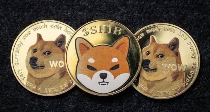 Here’s the price of SHIB if it hits DOGE market cap after Shibarium