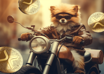 XRP and PancakeSwap trending on the charts, but prices are still declining; Pomerdoge presale is to skyrocket 17x