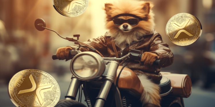 XRP and PancakeSwap trending on the charts, but prices are still declining; Pomerdoge presale is to skyrocket 17x