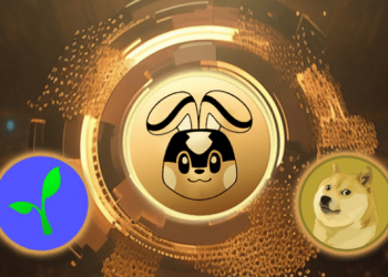 Why This New Token Could Outperform Dogecoin (DOGE) And Radicle Network (RAD) With Massive Returns