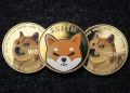 Shiba Inu Leaves Dogecoin, Floki Trailing In Dust With 3% Gains After Shibarium Bridge Token Withdrawals Go Live — 106M SHIB Burned In A Single Day