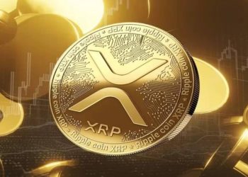 Uphold remains 100% loyal to XRP, states its CEO – Cryptopolitan