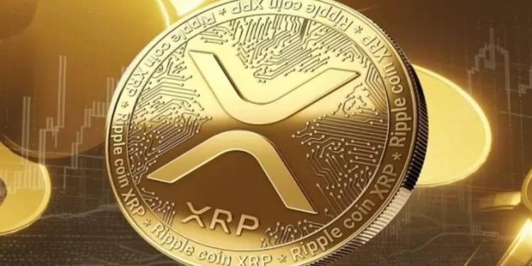 Uphold remains 100% loyal to XRP, states its CEO – Cryptopolitan