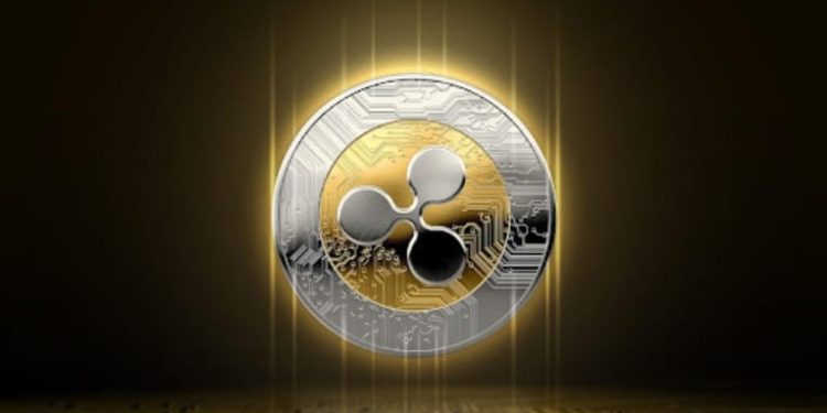 Why do crypto whales prefer DigiToads over XRP?