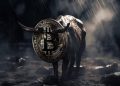 Why Bitcoin’s short-term holders are crucial to determining the next rally