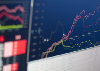 Safeguarded Token: The Third Way between Decentralization vs. State Protection Part 4
