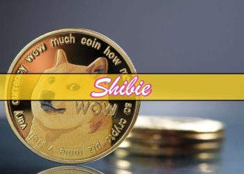 As Dogecoin and Pepe Prices Slide, Could New Meme Coin Shibie Token Be an Alternative?