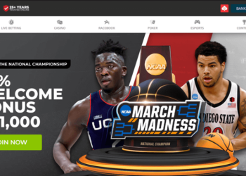 10 Best Dogecoin Gambling Sites In 2023