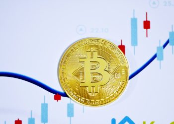 Why Is The Bitcoin And Crypto Market Up Today?