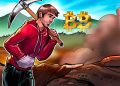 How Bitcoin miners can survive a hostile market — and the 2024 halving
