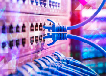 The Reasons Dogecoin Enthusiasts Are Gravitating Towards This Emerging Coin