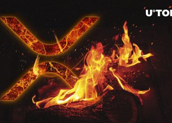 XRP Community Awaits This Airdrop as XRP Burning Takes Center Stage