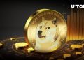DOGE Surpasses Other Top Meme Coins by This Metric This Week