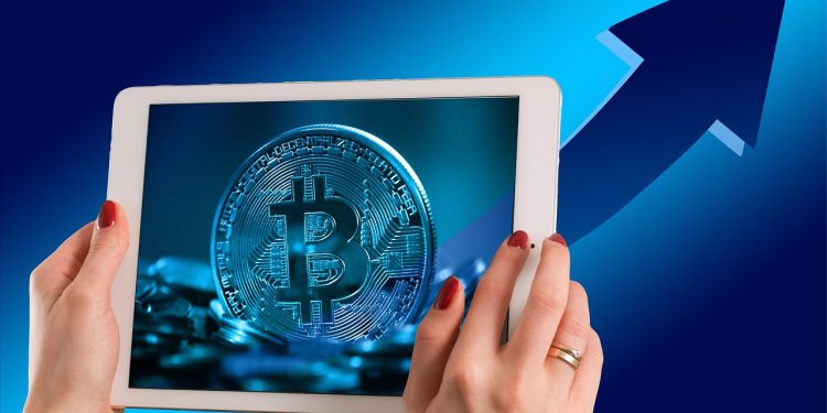 Dogecoin vs Bitcoin Spark: Decoding the Cryptocurrency Craze
