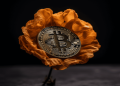 Bitcoin’s price fluctuations will continue into 2024, ChatGPT projects