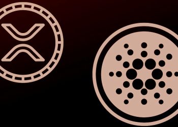 Which Crypto is Better to Buy?