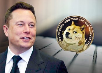 Here Are Important Excerpts About Dogecoin