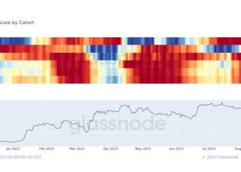 Whales Accumulate Bitcoin (BTC), But It’s Not BlackRock