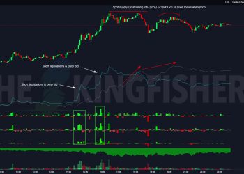 Why Is Bitcoin Price Up Today? Insights From Leading Analysts