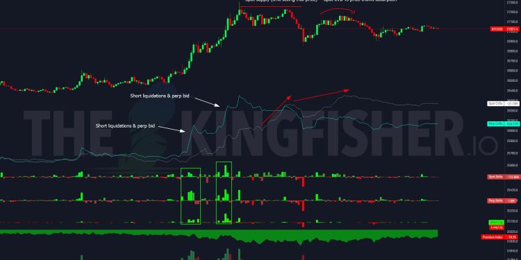 Why Is Bitcoin Price Up Today? Insights From Leading Analysts