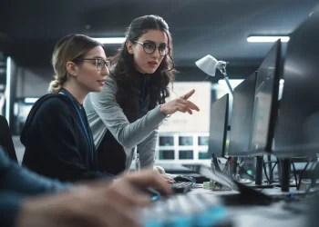 What is the vulnerability management process?