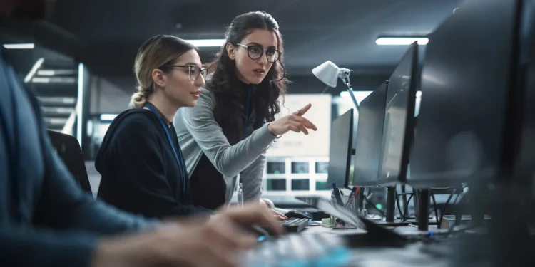What is the vulnerability management process?