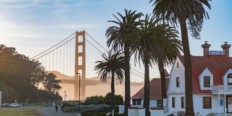TechCrunch+ Roundup: YC Demo Days, blockchain’s killer app, comparing seed investors