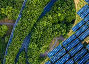 Harnessing AI and data analytics can make clean energy more viable