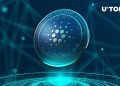 Cardano Defies Market Trends with Rising On-Chain Transaction Volume