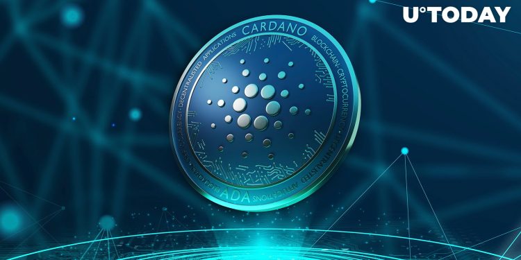 Cardano Defies Market Trends with Rising On-Chain Transaction Volume