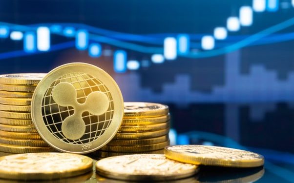 Crypto Insights from the Pros: Hedera, Borroe.Finance and XRP Hailed as Top Picks for Massive Profits!