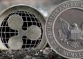 Ripple CTO Tells The Tale Of How The SEC’s Lawsuit Made The Company Lose Important Deals