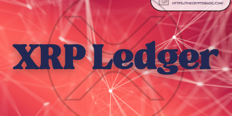 Expert Says Firms Building on XRPL Are Not Obliged to Boost XRP Holders’ Interests