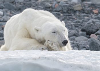 What Traders Can Expect In The ‘Longest’ BTC Bear Market