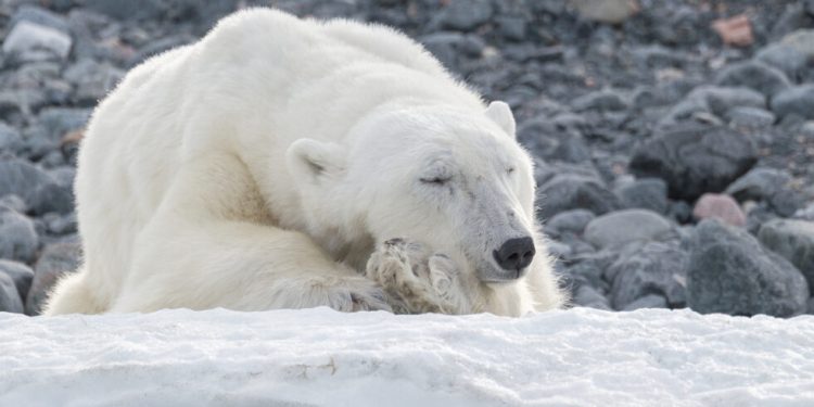 What Traders Can Expect In The ‘Longest’ BTC Bear Market