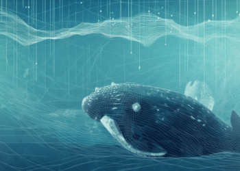 Bitcoin renounces recent gains: Assessing a potential whale strategy
