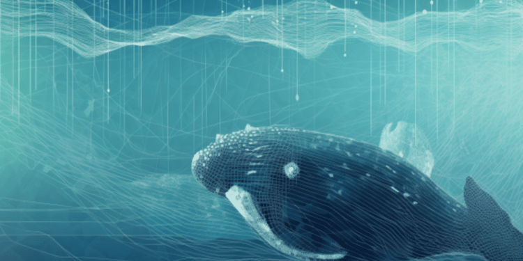 Bitcoin renounces recent gains: Assessing a potential whale strategy