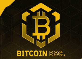 A Smarter Choice Over Overvalued Dogecoin & Chainlink