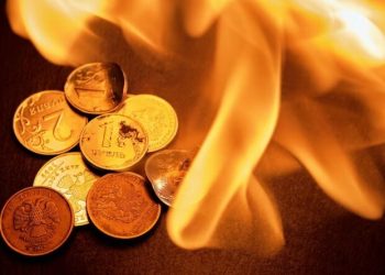 Dogecoin Lead as Celebrities Raise Funds for Maui Wildfire