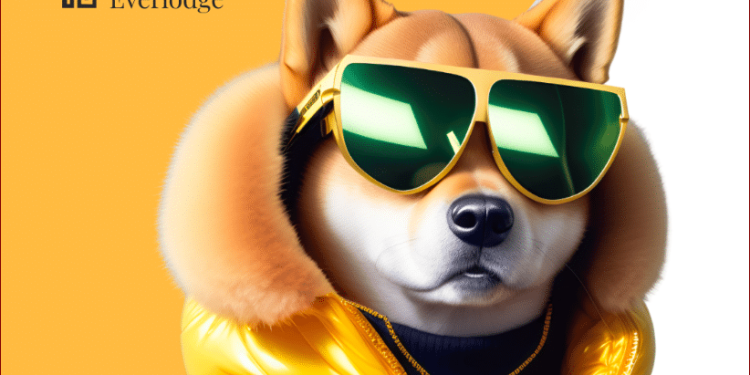X boosts Dogecoin (DOGE) as Pepe (PEPE) struggles: Everlodge … – Cyprus Mail