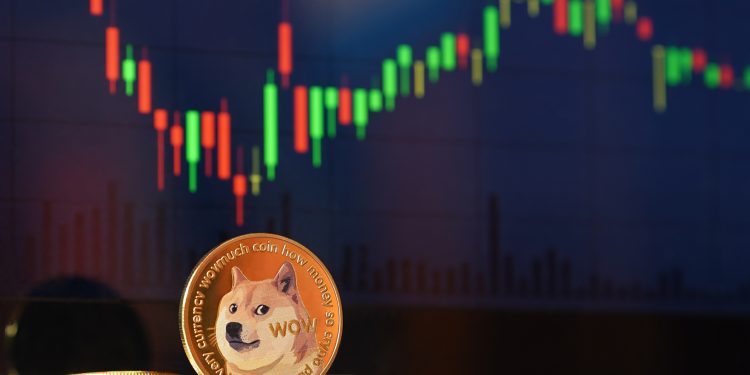 Dogecoin Slide Persists Despite This Elon Musk Bio Revelation