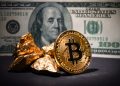 Why 2024 Will Be The Highest Returning Year This Cycle