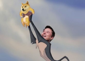 Dogecoin cayó 12% en el año pero crece en popularidad