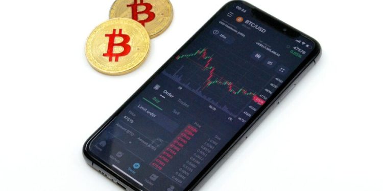 The Future of Cryptocurrency in Everdome’s Ecosystem