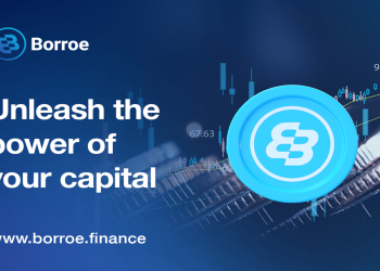 Record Low Dogecoin Volatility, Solana Ecosystem Collapsed– Borroe.Finance Saves the Day