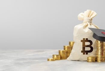 Borroe.Finance and Dogecoin on the rise in Q4 2023