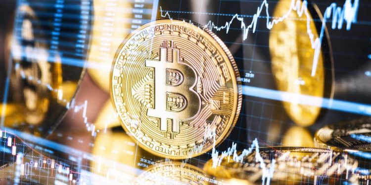 Bitcoin Looks Like a Haven Again. Don’t Be Fooled.